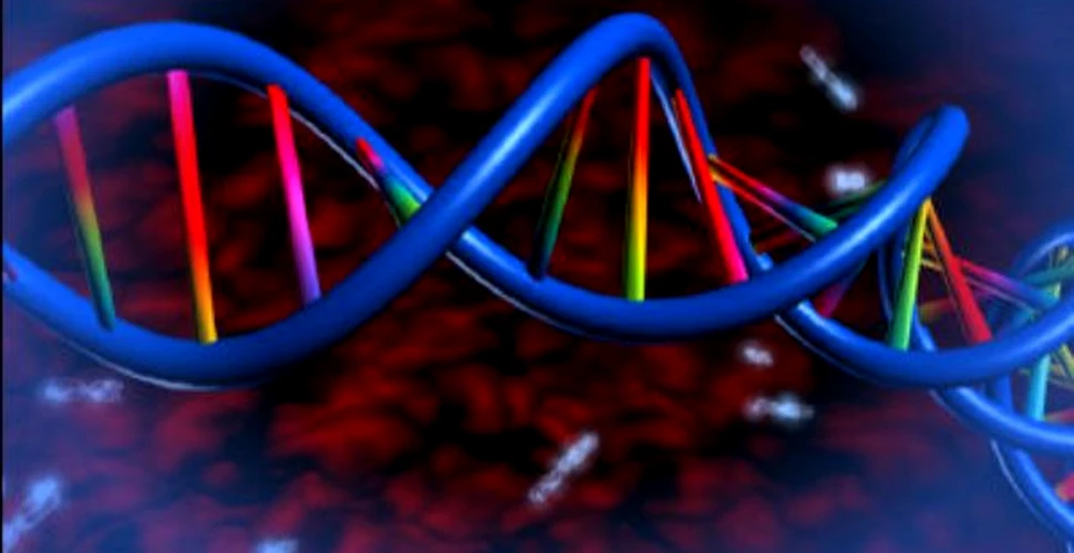 ADN: prima fotografie tridimensionala
