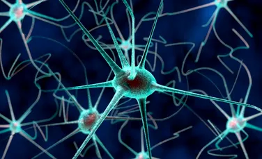 Descoperire remarcabilă: neuronii pot comunica într-un mod complet nou. ,,Această descoperire reprezintă o îmbunătăţire semnificativă a modului în care înţelegem memoria”