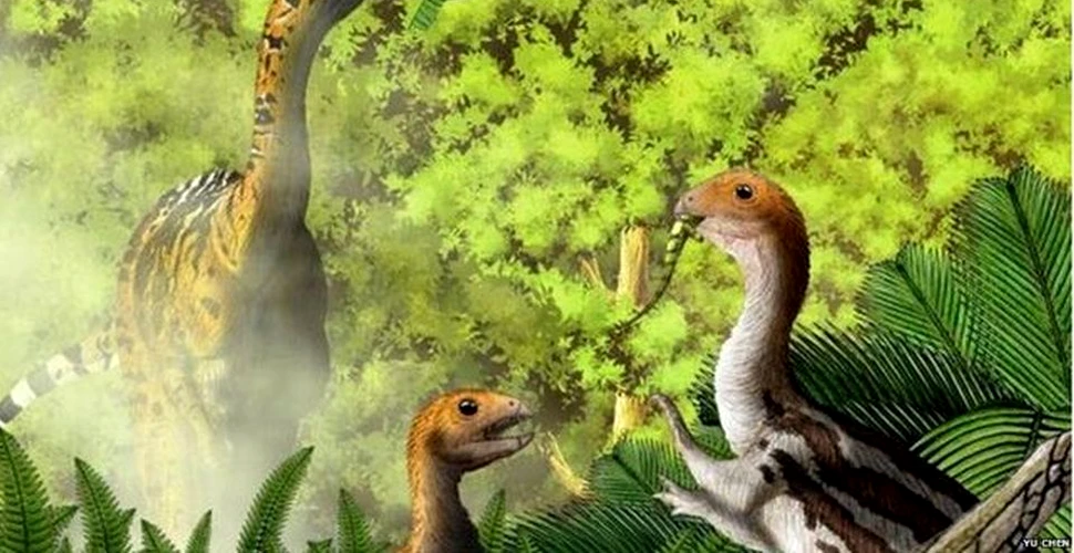Evoluţia INCREDIBILĂ  a unei specii de dinozauri ,,La nicio altă fosilă a unei vertrebrate nu a fost observată această particularitate”