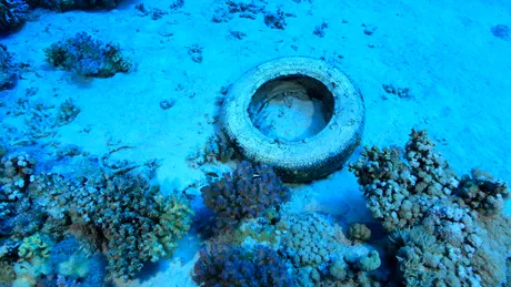 Cum a ajuns fundul oceanului o groapă de gunoi pentru plastic, arme chimice și biberoane?