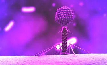 Descoperire uimitoare în biologie: un virus are propriul său sistem imunitar!