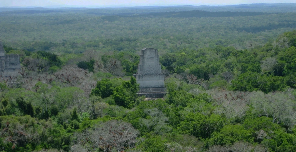 Un cartier mayaș conceput să semene cu Teotihuacan, descoperit la Tikal