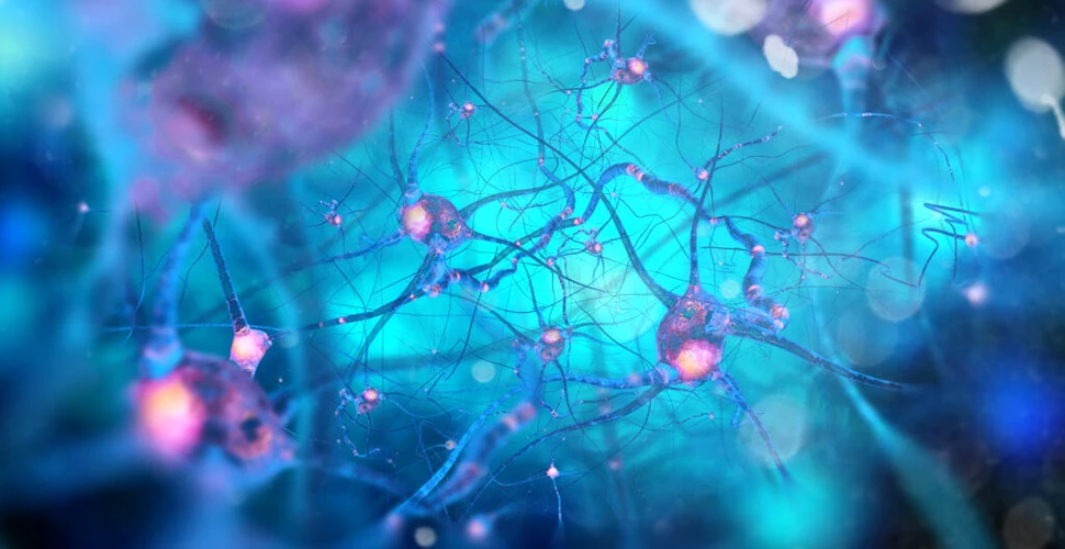 Cercetătorii au identificat neuronii care dictează ce se întâmplă în creier atunci când suntem bolnavi