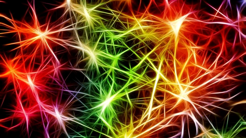 Redarea mobilității persoanelor paralizate este posibilă prin identificarea neuronilor care o fac posibilă