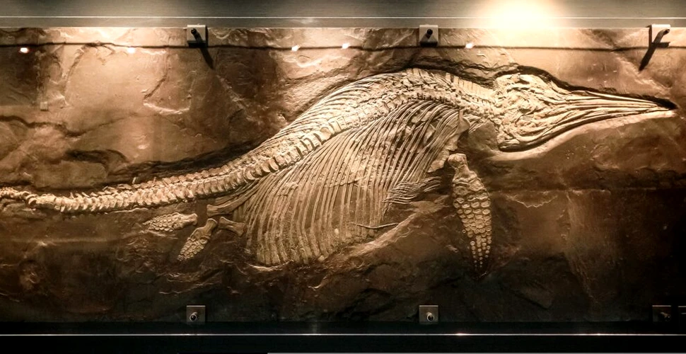 Surpriza găsită de arheologi în fosila unei reptile marine, veche de 131 de milioane de ani