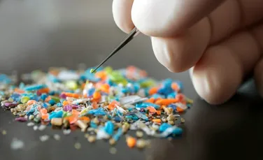 Microplasticele din ambalajele alimentare, pericol pentru intestin