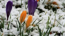 Cum va fi vremea la final de iarnă și început de primăvara? Prognoza ANM