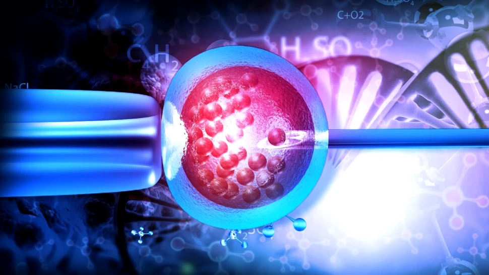Un experiment medical de succes oferă speranță pentru cazurile dificile de fertilitate