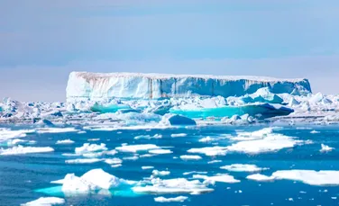 Renunțarea la iluzii ne-ar ajuta să facem față crizei climatice?
