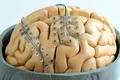 Un nou algoritm de inteligență artificială ar putea vindeca epilepsia