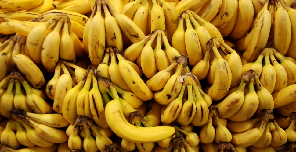 Dacă mănâncă 3 banane primesc 900 de dolari. Experimentul controversat al unor oameni de ştiinţă