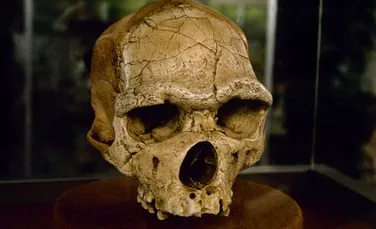 ADN-ul uman poate conține gene ale unui hominid antic necunoscut