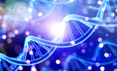 Oamenii și-au pierdut o abilitate biologică importantă din cauza evoluției. De ce?