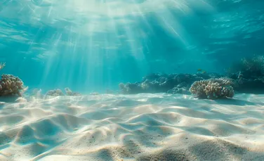 Test de cultură generală. Care este cel mai mare pește din ocean?