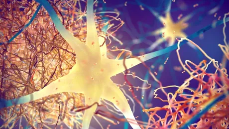 Cancerul ar putea emite semnale care protejează creierul împotriva bolii Alzheimer