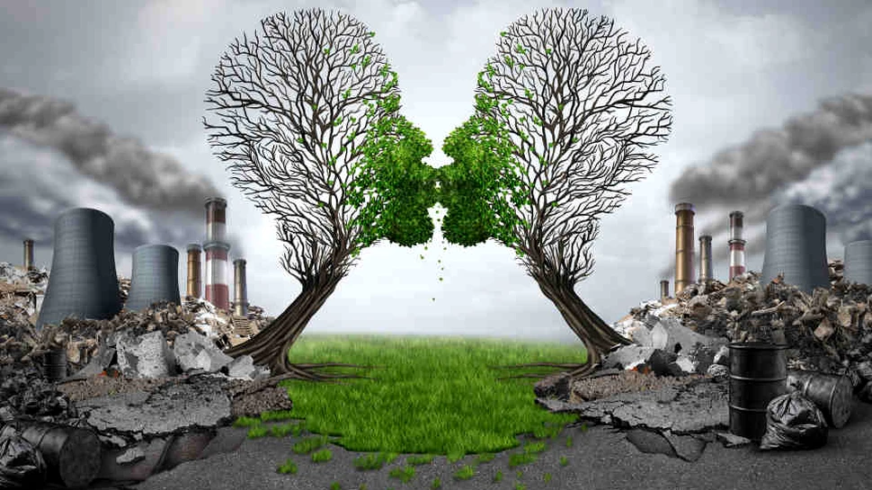 Încălzirea climatică afectează deja întreaga viaţă pe Pământ
