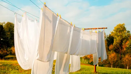 O greșeală banală pe care o facem cu toții primăvara agravează alergia la polen