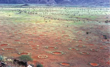 Misterul ”cercurilor zânelor” din deşertul Namib a fost în sfârşit elucidat