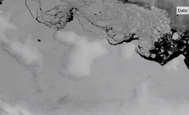 Antarctica se dezintegrează sub acţiunea apei calde a oceanului