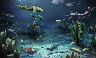 Un studiu ar fi descoperit unul dintre cele mai importante momente din evoluția vieții pe Pământ