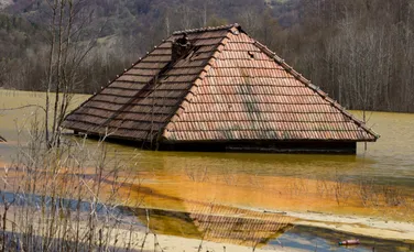 Cum să îți adaptezi casa pentru a rezista la inundații. Urgențe, pași esențiali și sfaturi