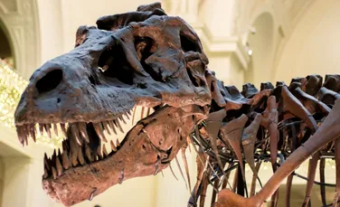 Tensiuni între Franţa şi Maroc din cauza unui schelet de dinozaur vechi de 66 de milioane de ani