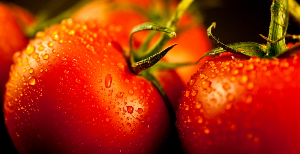Cum îşi vor recăpăta gustul fructele şi legumele? Tehnologia ce va revoluţiona agricultura