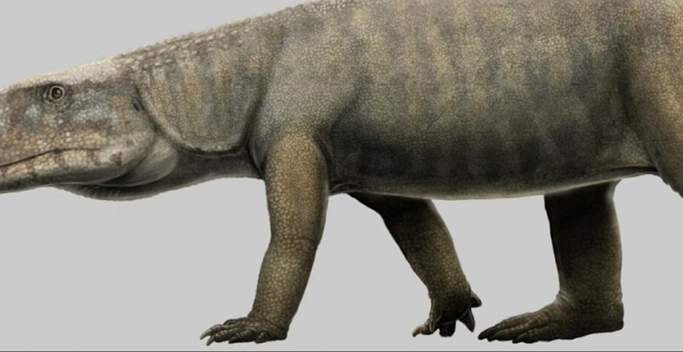 Fosile excavate în anii 1960 reprezintă veriga lipsă din evoluția crocodililor