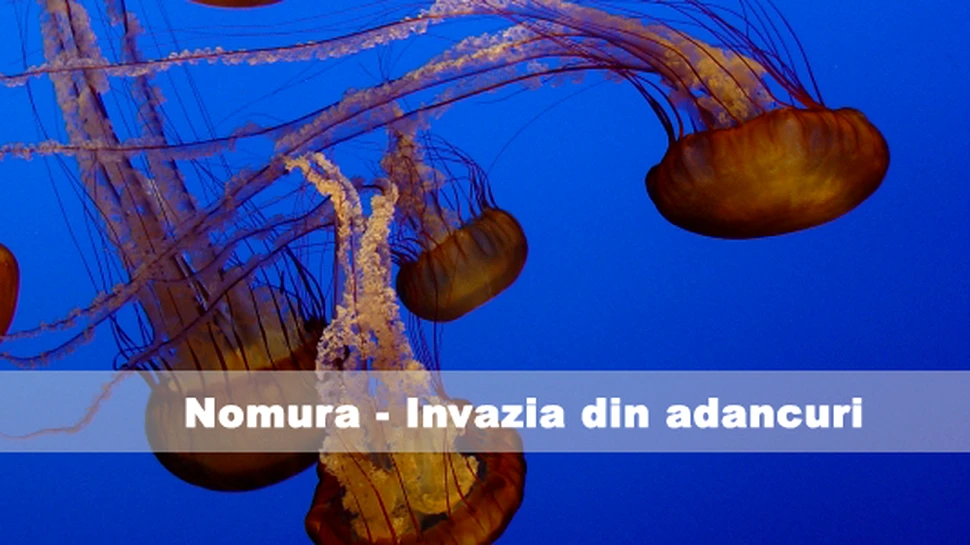 Nomura – Invazia din  adancuri