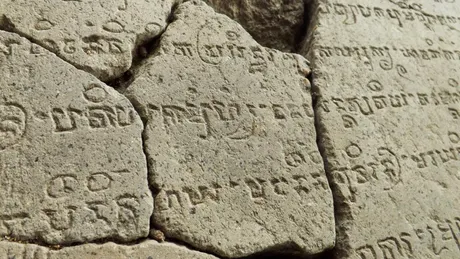 Când au început oamenii să vorbească? Ce pot spune cercetătorii despre originea limbajului