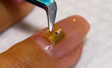Unghiile microcipate, o nouă modă. Cum funcționează unghiile inteligente