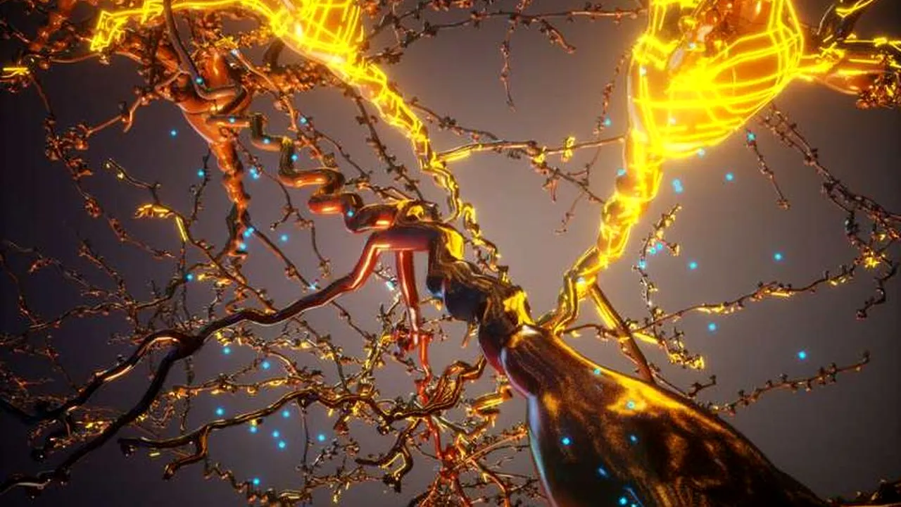 1-neuron-stanford-university-descopera 
