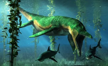 O reptilă marină preistorică ar fi fost de două ori mai mare decât o balenă ucigașă, sugerează fosilele