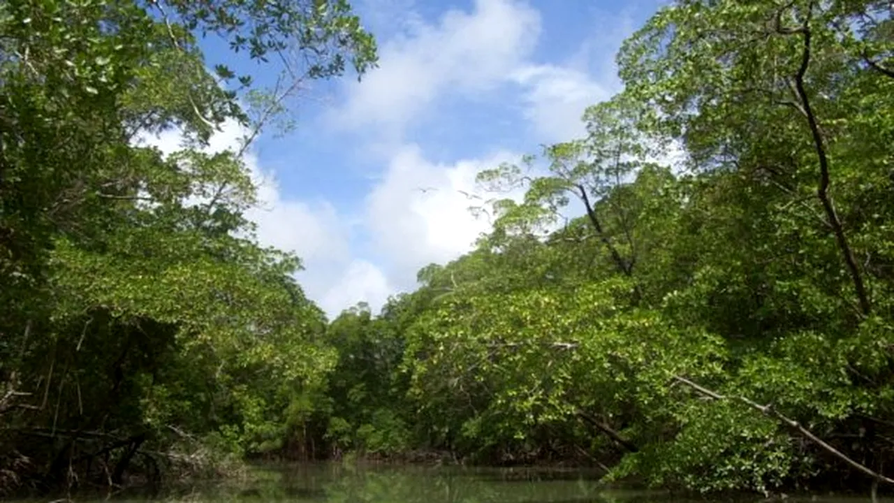2-amazonriver 