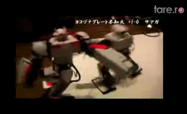 Lupta spectaculoasa intre roboti (VIDEO)