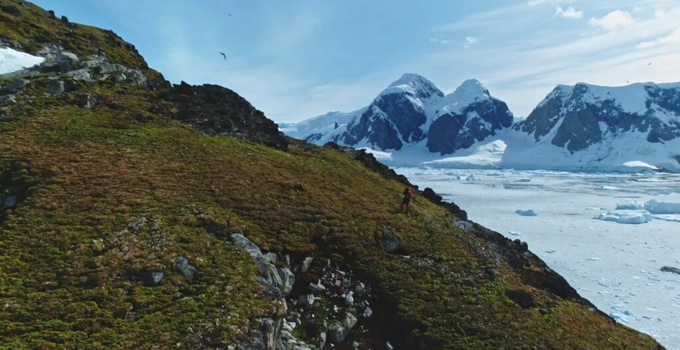 Topirea calotelor glaciare din Antarctica încetinește cel mai puternic curent oceanic de pe Pământ