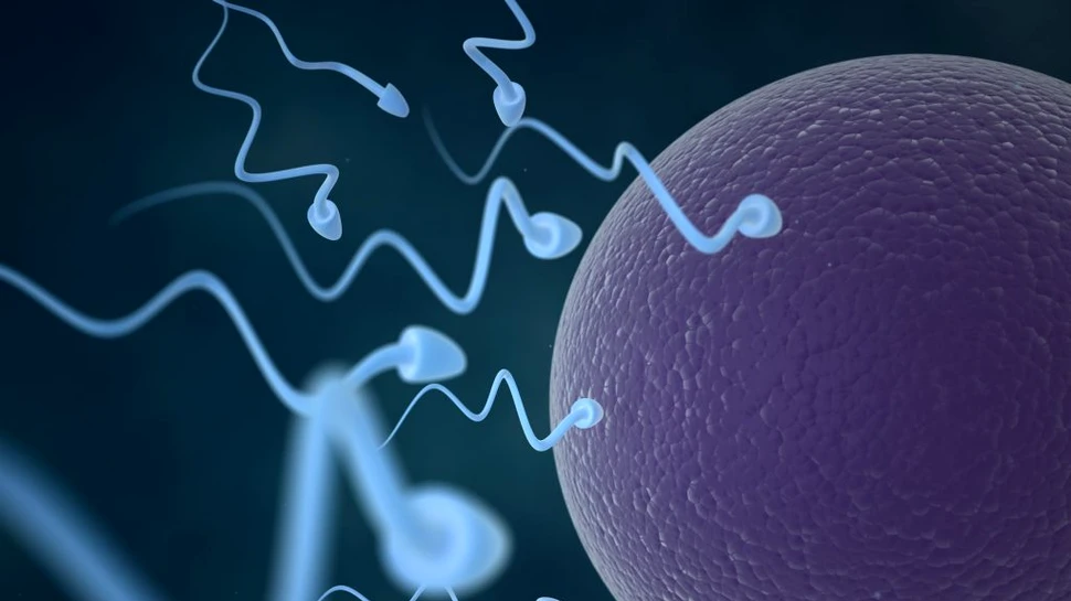 De ce unele femeile cu studii superioare aleg să îşi îngheţe ovulele. Motivul este SURPINZĂTOR