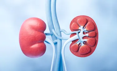 Cercetătorii au schimbat grupa de sânge a unui rinichi. Ce s-a întâmplat după ce l-au transplantat la o persoană în moarte cerebrală?