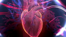 Anatomia fără bisturiu. Pot „cadavrele digitale” să înlocuiască disecția clasică?