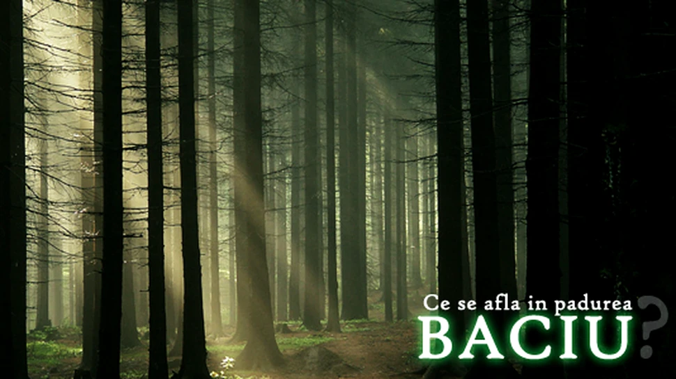Ce se afla in padurea Baciu?