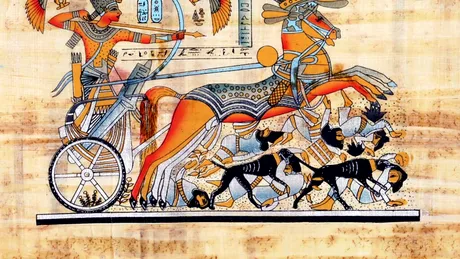 Un studiu rescrie istoria: Ce s-a descoperit despre bărbații monarhi?