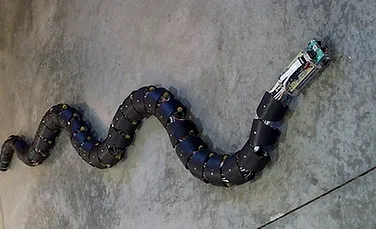 Şerpii-roboţi vor căuta oameni sub clădirile prăbuşite în Japonia (VIDEO)