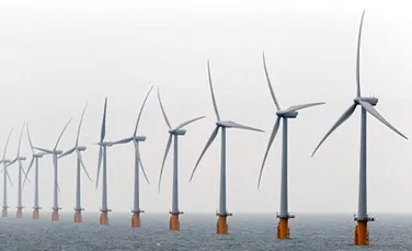 Energia eoliana: o noua pacaleala ecologica?