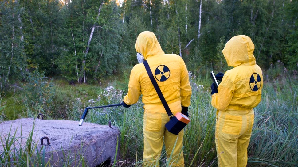 Dezastrul nuclear de la Fukushima a afectat copacii într-un mod cât se poate de ciudat
