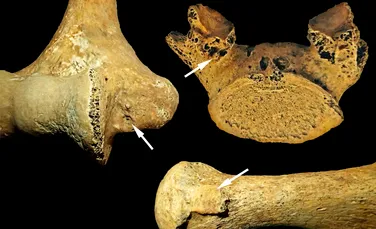 O femeie din Epoca de Piatră a fost înmormântată asemenea unui bărbat. Care a fost motivul?
