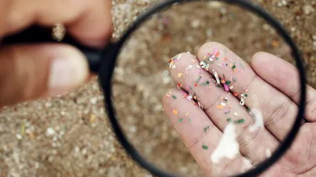 Medicii ar fi găsit un mod de a scoate microplasticele din corp