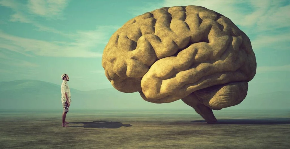 Unii oameni au creierul mai „încrețit” decât alții, iar cercetătorii au aflat de ce