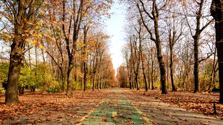 Prognoza meteo până la mijlocul lunii octombrie. Cum va fi vremea și unde va ploua?
