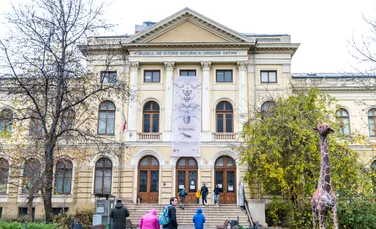 Noaptea Muzeelor nu va avea loc anul acesta