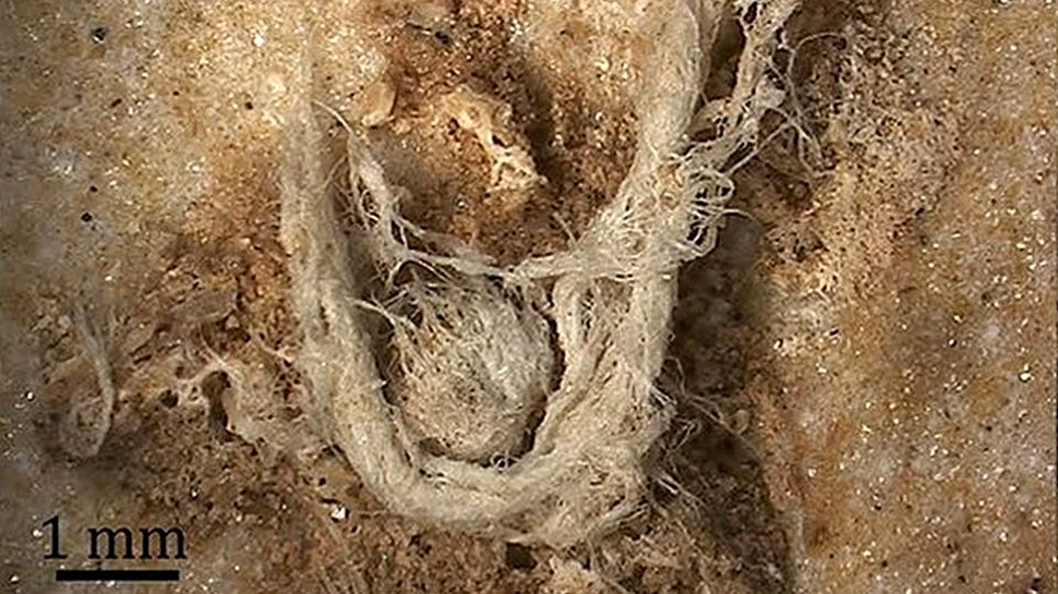 Cum arată şi câte mii de ani are cea mai veche bucată de pânză făcută de mâna omului